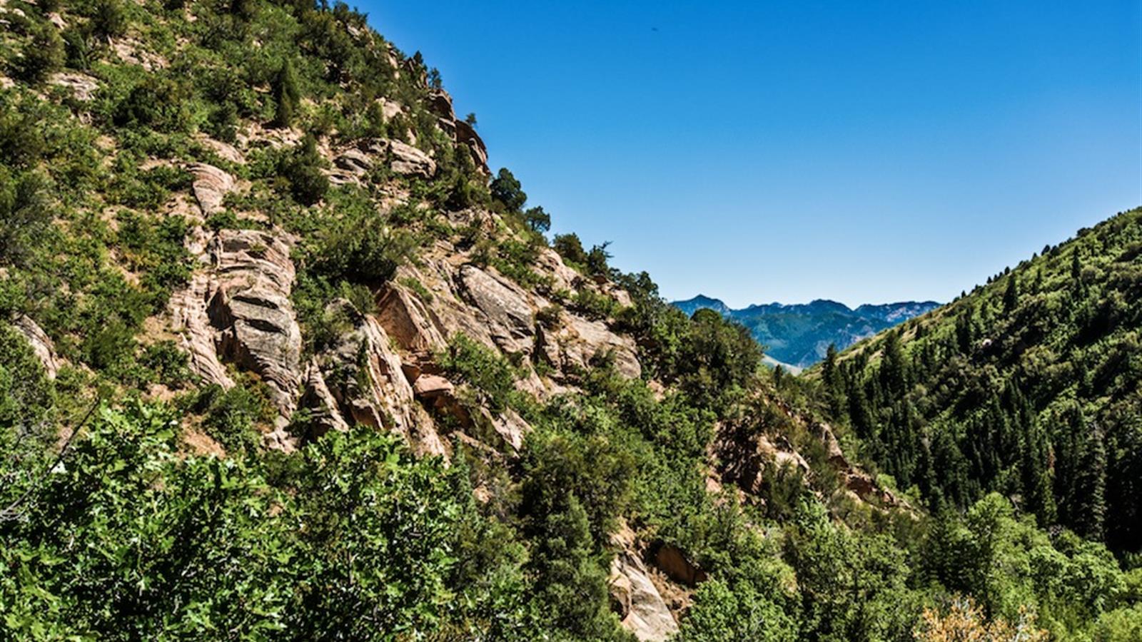 Emigration Canyon cityhomeCOLLECTIVE